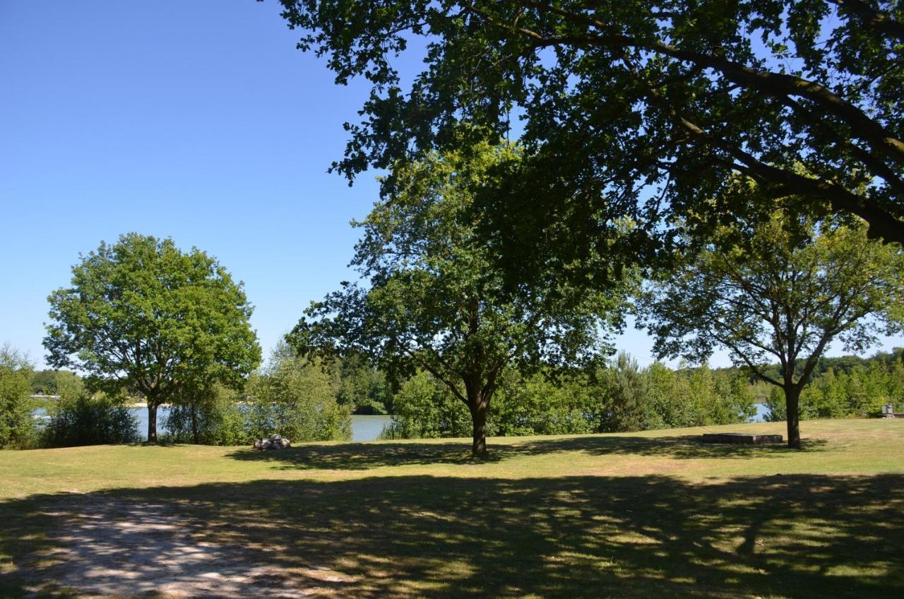Drents Genieten - Lavendelheide Met Uitzicht Op Het Water Erm Ngoại thất bức ảnh